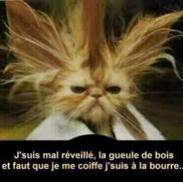 la gueule de bois